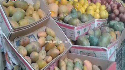 بالفيديو.. استقرار أسعار الخضار والفاكهة بالأسواق اليوم