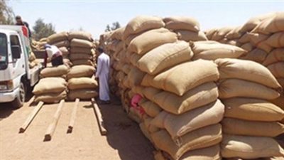 توريد 523 ألفا و541 طن قمح لشون وصوامع الشرقية