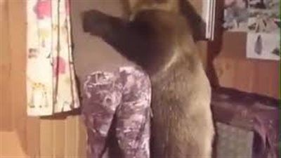 دب يحدق من نافذة ويعانق صاحبه في مشهد طريف (فيديو)