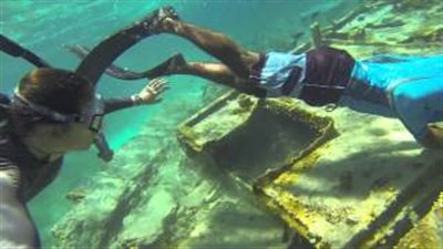 بالفيديو.. سياح جزر المالديف يطعمون الأسماك المفلطحة