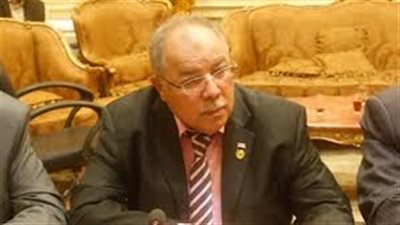 نائب يقترح إلزام المرور بتعليق بيانات قائدي المركبات على السيارات