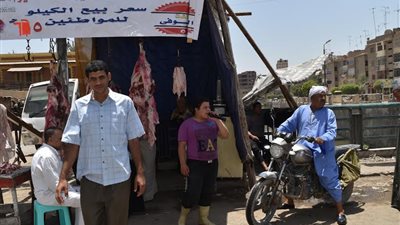طرح كميات إضافية من اللحوم البلدية المدعمة بسعر 65 جنيها في الفيوم