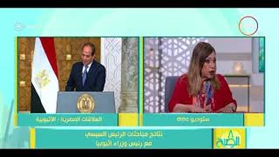 منى عمر: مصر حرصت على عدم دخول طرف خارجي في أزمة سد النهضة