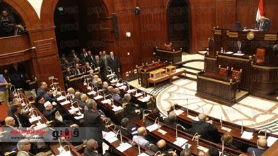 المستشار القانوني للأزهر «مقررًا» للجنة المقومات بـ«الخمسين»