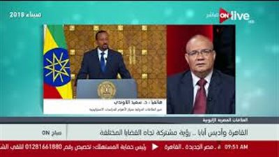 اللاوندي: زيارة رئيس الوزراء الإثيوبي لمصر ناجحة (فيديو)