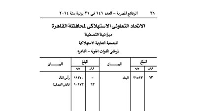 تصفية الجمعية الاستهلاكية لموظفى القوات الجوية