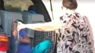 امرأة تضع حفيدتها بقفص للكلاب والسبب غريب (فيديو وصور)