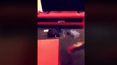 فأر يلقن عائلة درسًا قاسيًا (فيديو)