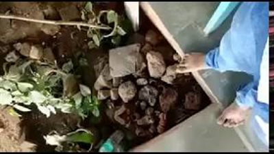 بالفيديو.. أغرب طريقة لعلاج آلام العمود الفقري بـ«الشاكوش»