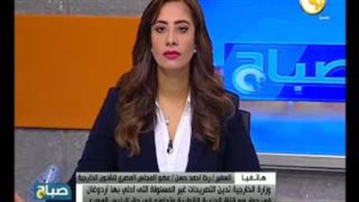 رخا أحمد حسن عن هجوم أردوغان على مصر: «متغاظ مننا ومحبط»