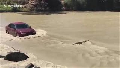 بالفيديو والصور.. مواجهة بين قائد سيارة وتمساح وسط مياه الفيضانات