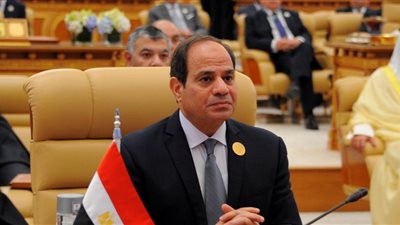 حماة الوطن: السيسي يعيد لمصر هيبتها العربية بعزل قطر الداعمة للإرهاب