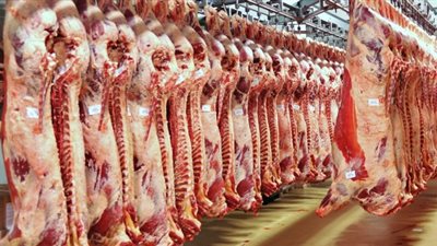 الحكومة تنفي زيادة سعر اللحوم السودانية عن 60 جنيهًا