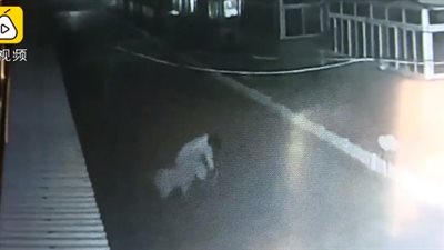 لحظة هجوم كلب عملاق على امرأة (فيديو)