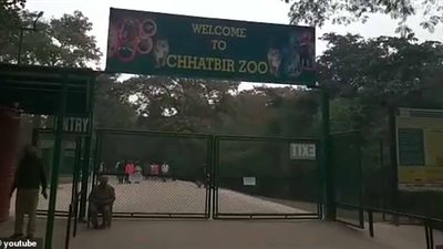 لحظة افتراس أسود لرجل حي أمام الزوار (فيديو وصور)