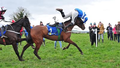 فارس يسقط من أعلى حصان ومفاجأة في نهاية السباق (فيديو وصور)