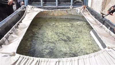 ضبط 300 وحدة زريعة سمك بوري ولنشات خشبية دون ترخيص ببورسعيد