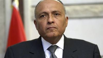 وزير الخارجية يتلقى اتصالًا هاتفيًا من نظيره الأيرلندي