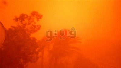 إيقاف عملية التصويت في الوادي الجديد وأسيوط والمنيا (صور)