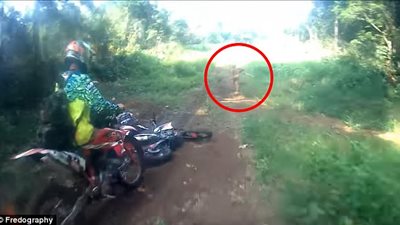 بالفيديو والصور.. العثور على كائن أسطوري يركض على الطريق