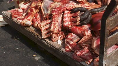 ضبط 500 كيلو دواجن مجمدة مجهولة المصدر في المنوفية