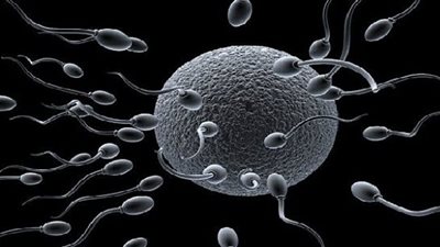 الجبن والستائر وواقي الشمس خطر على الرجال