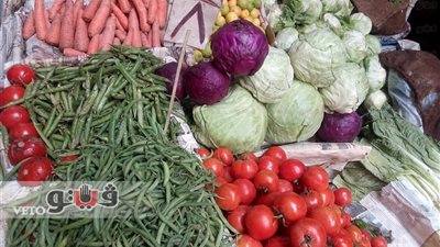 فوضى الأسواق.. الديب: بعض القرارات الحكومية ساهمت في زيادة الأسعار.. زكي: السوق عرض وطلب ولايوجد رقابة على الأسعار..الشافعى: ضم أجهزة حماية المستهلك للرقابة الإدارية يضمن فاعليتها