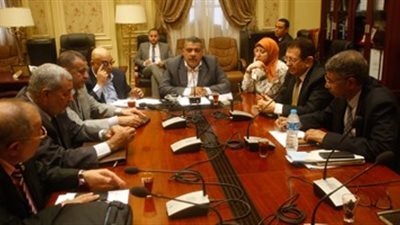 برلماني: قانون التأمين الصحي الجديد يخدم جميع المواطنين