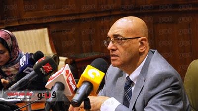 سلماوي: مقترحات المصريين بالخارج محل اهتمام لجنة 