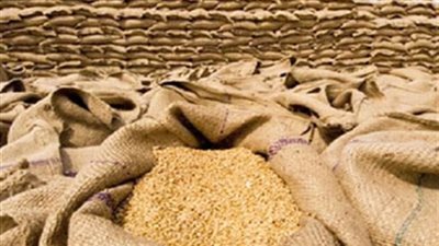 تخزين 176 ألفا و5 أطنان من القمح بصوامع وشون قنا