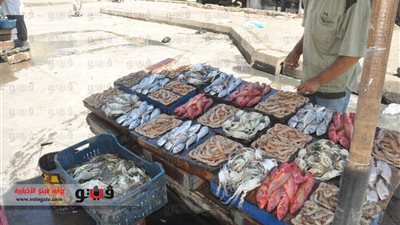 بالصور والفيديو.. نرصد ارتفاع أسعار السمك بـ