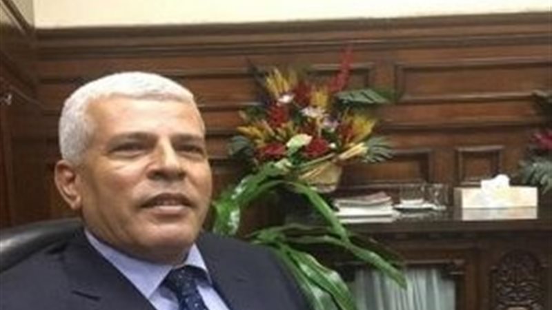 الدكتور سيد خليفه،