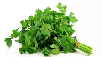 دراسة القومي للبحوث: زيت البقدونس صيدلية متكاملة لمرضى الكبد.. يقي من التسمم والأكسدة.. التجارب المعملية تثبت فاعليته على الفئران.. عرف فوائده الفراعنة واحتفظوا بأوراقه بمقابرهم.. يعالج 15 مرضًا