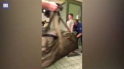 بالفيديو والصور.. تفتيش معاق بطريقة مريبة في مطار أمريكي