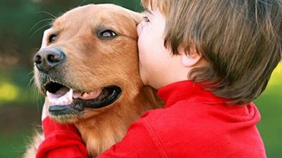 أمراض تصيب مربي الحيوانات الأليفة.. تنقل 175 مرضا للإنسان.. فيروس القطط يصيب سيدتين بالعمى في تركيا.. سُعار الكلاب يقتل 55 ألف شخص سنويا.. وروشتة للحماية من خطر العدوى