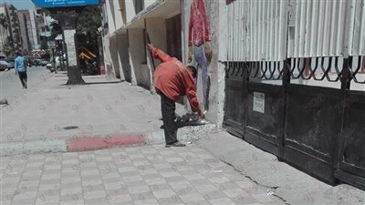 بالصور.. عمال النظافة يجمعون مذكرات الطلاب من أمام اللجان بالغربية