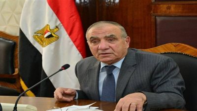 موعد نتيجة الانتخابات الرئاسية ينقذ وزير التنمية المحلية من النواب