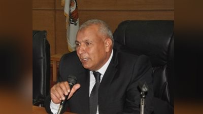 66 مشروعا للمرأة المعيلة بالوادي الجديد