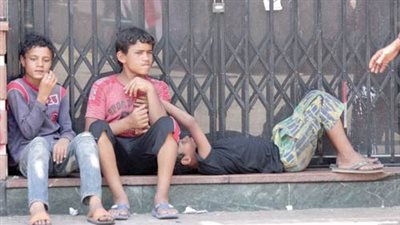 333 «ابن حرام» في القاهرة عام 1954