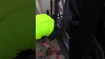 بالفيديو.. لحظة إنقاذ كلب علقت رأسه في بوابة حديدية