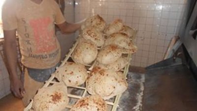 مزاد علني لمخبز أفرنجى وآخر بلدي بـ«أبورديس» في جنوب سيناء