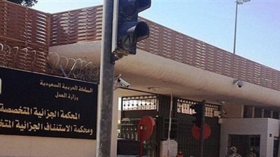 سجن توءم مصري 14 سنة بالسعودية.. أحدهما أدين بازدراء الملك سلمان
