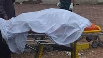 النيابة تنتدب المعمل الجنائي في حادث قتل فلاح لأسرته بالحوامدية