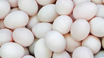 بعد تصديره للبحرين.. منى محرز: خطة لزيادة إنتاج البيض لأكثر من 12 مليارا