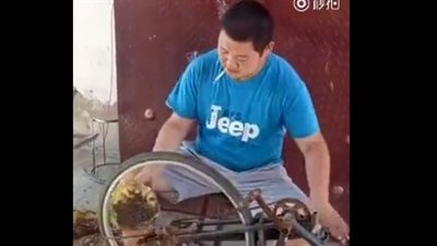 بالفيديو.. رجل يبتكر أسرع طريقة للحصول على بذور عباد الشمس