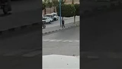 بالفيديو.. لص يسرق سائقا من داخل سيارته بطريقة صادمة