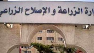 الزراعة: قانون التصالح على مخالفات البناء غير دستوري