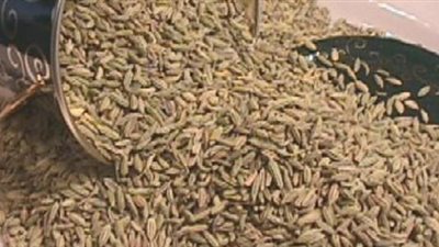 «الشمر» مشروب سحري لتخليص الجسم من السموم في 21 يوما