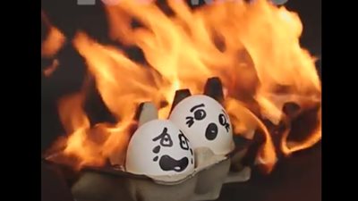 بالفيديو.. أفضل 10 استخدامات لعلب البيض الفارغة