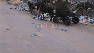 محافظ الشرقية يكلف برفع الإشغالات من الطرق